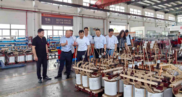 Deputy Mayor Chen Jianhong Leads Inspection of Honle Group