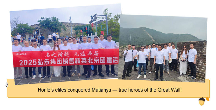 Honle Group 2025 Mid-Year Marketing Conference